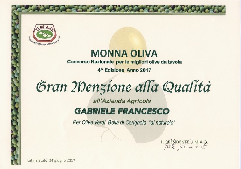 monna oliva